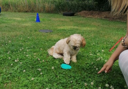 Crossover - nachdenken