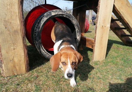 Crossover - arbeiten an Geräten