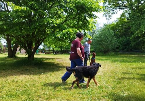 Einzeltraining - Begegnungen üben