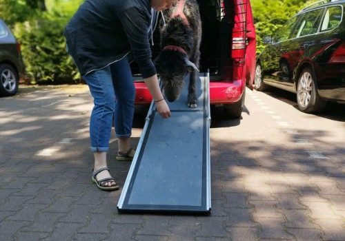 Einzeltraining - Rampeneinstieg