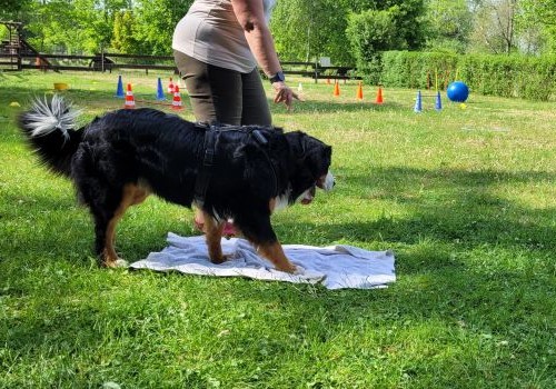 Hausbesuch_Vorbereitung