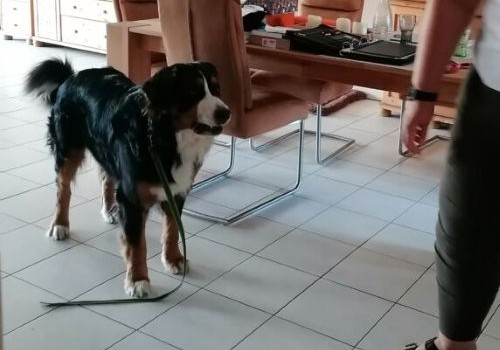 Hausbesuch_Anwendung