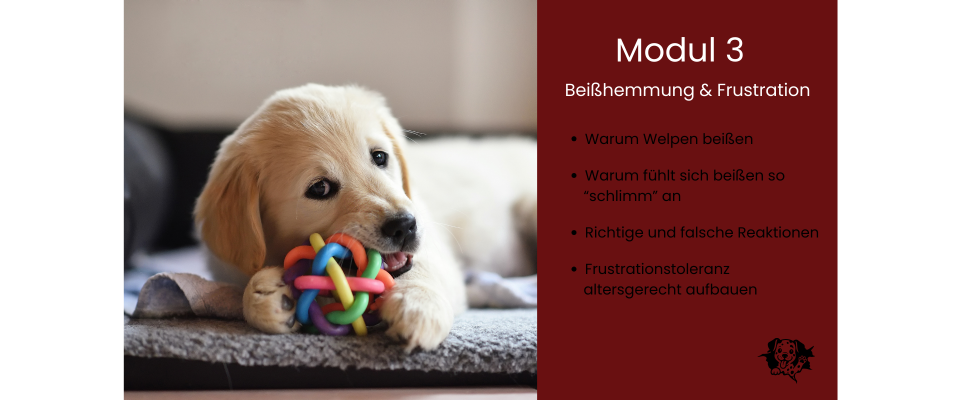 Modul3